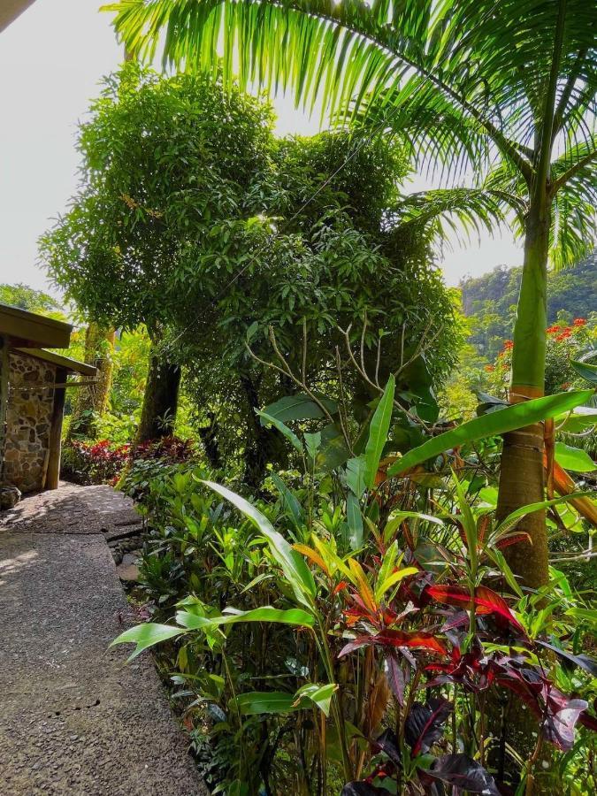 Cocoa Cottage โรโซ ภายนอก รูปภาพ